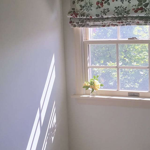 Claraさんの実例写真