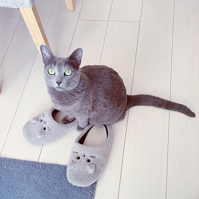 snoopyさんの実例写真