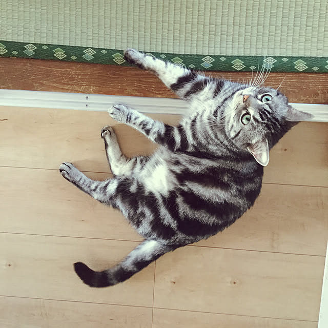 richanさんの実例写真