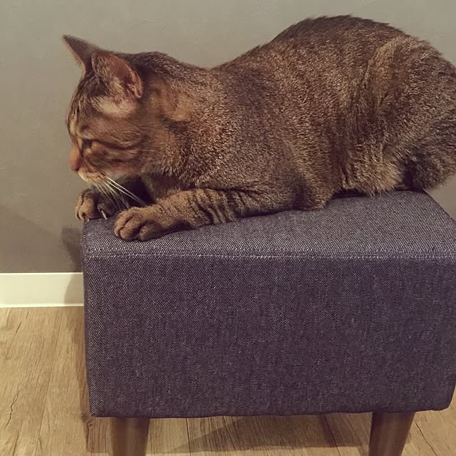 beansさんの実例写真