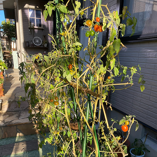 yumirilさんの実例写真