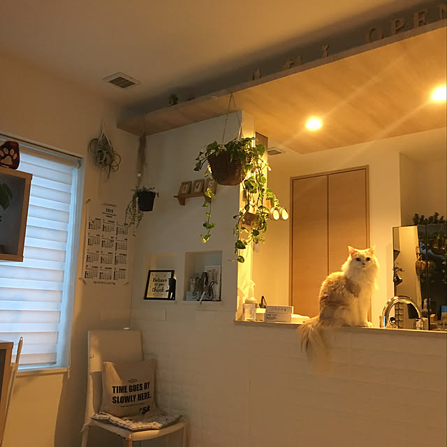 megu.catさんの実例写真