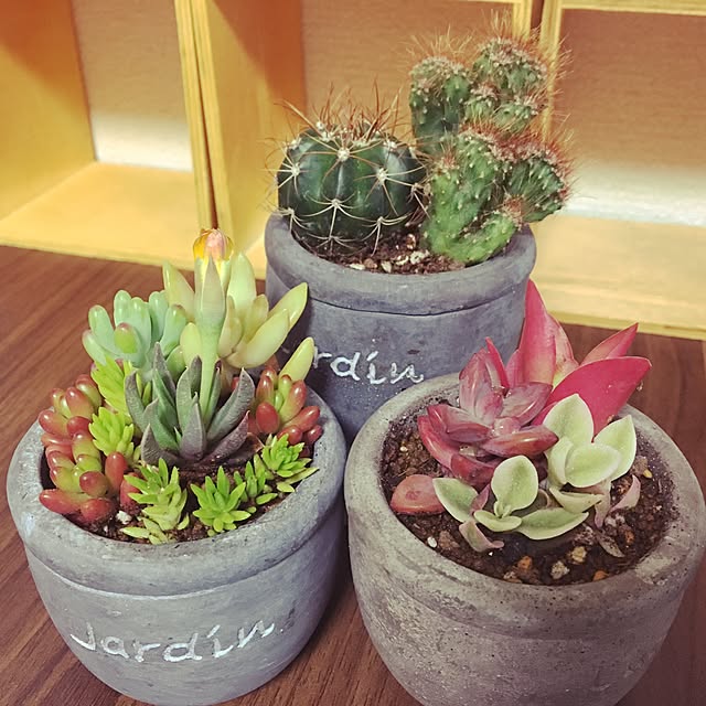 mu_muさんの実例写真