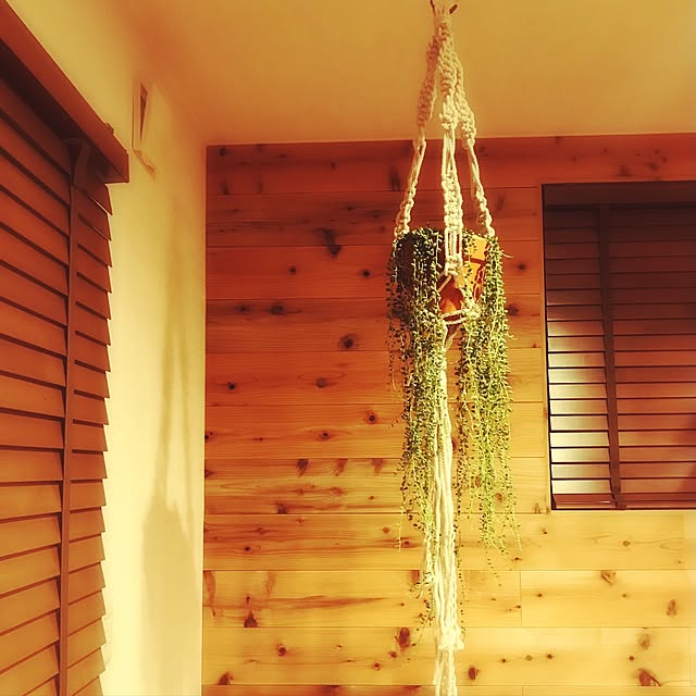sakoさんの実例写真