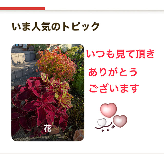 ritsukoさんの実例写真