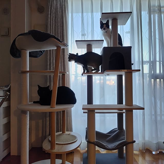 haruissaさんの部屋