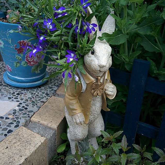 kaoringoさんの実例写真