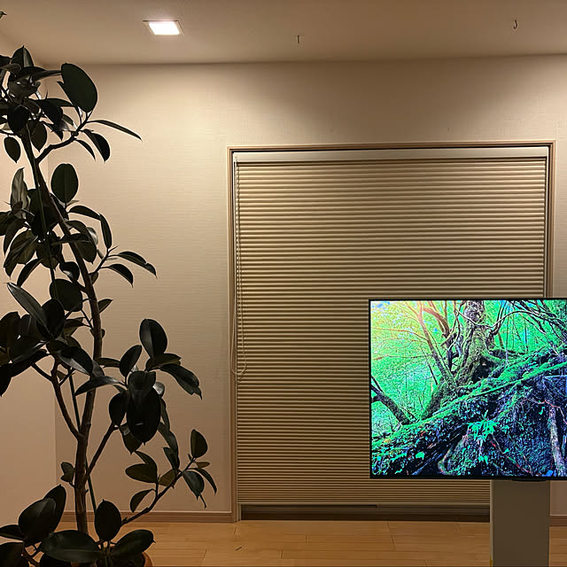 nao525さんの実例写真