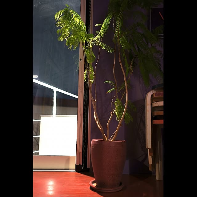 Design papa Ka-tuさんの実例写真
