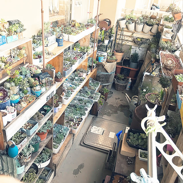 8717さんの実例写真