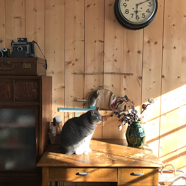 akaneさんの実例写真