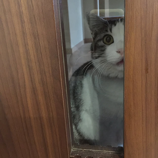 cherryさんの実例写真