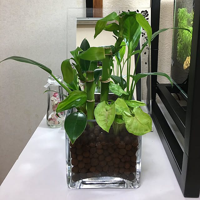 FUさんの実例写真