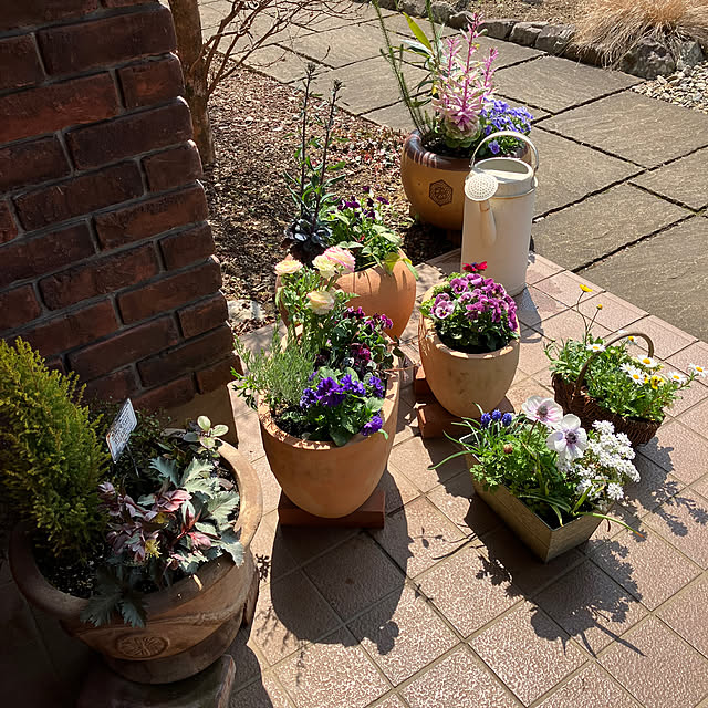 ikubooさんの部屋