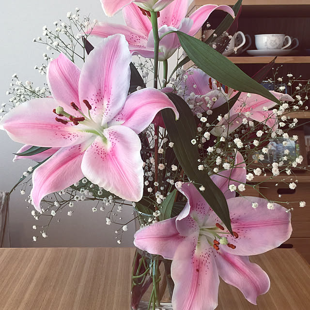 kamonohashi_zさんの実例写真