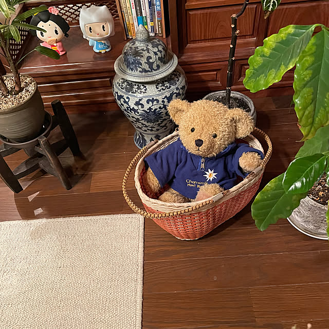 shin0719さんの実例写真