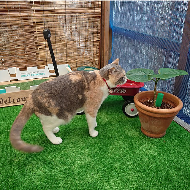 fukuさんの実例写真