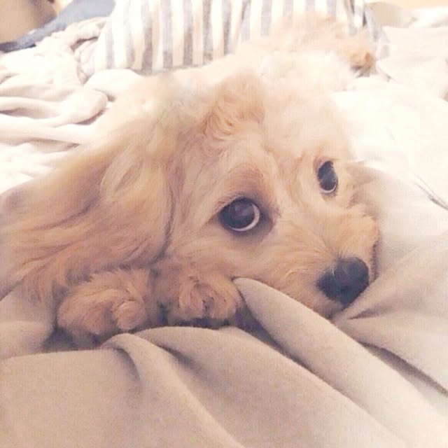 S.さんの実例写真