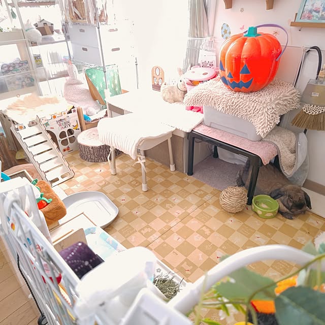 mariaさんの部屋