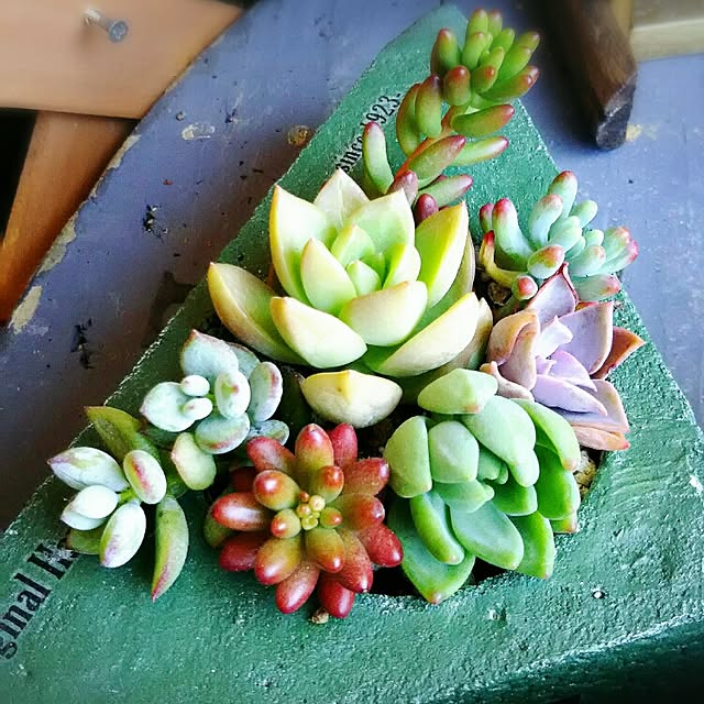 LittleMyさんの実例写真