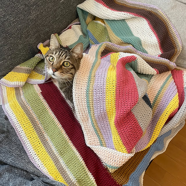 kabosuさんの実例写真
