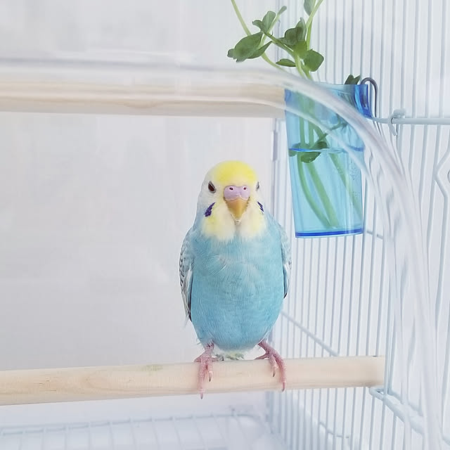 yさんの実例写真