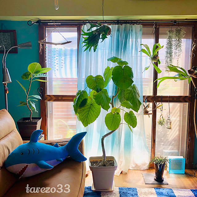 tarezo33さんの実例写真