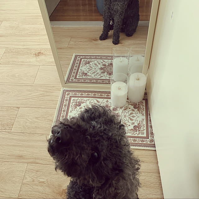 jillさんの実例写真