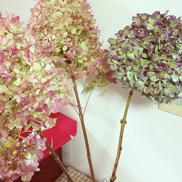 sskさんの実例写真