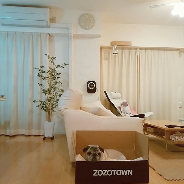 Rieyさんの実例写真