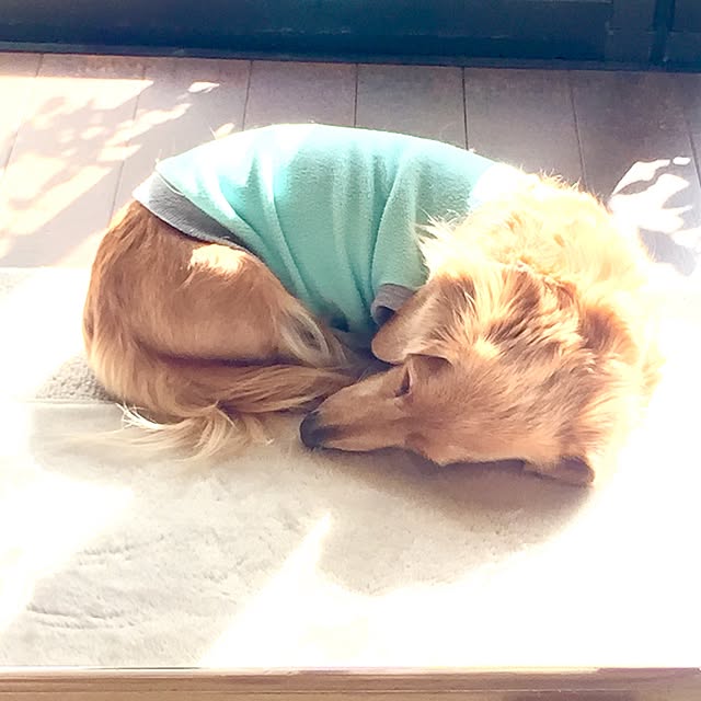 bibianさんの実例写真