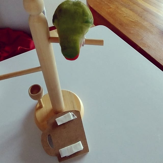 toratanさんの実例写真
