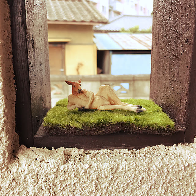 tokageMaruさんの実例写真