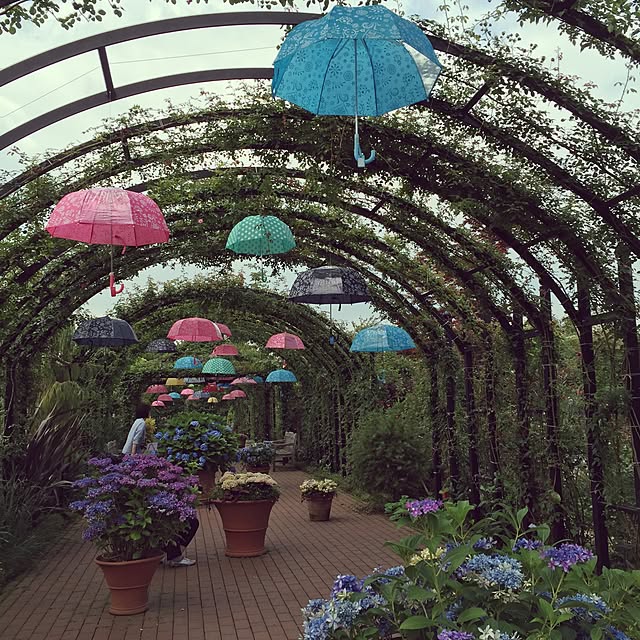 greenroseさんの実例写真