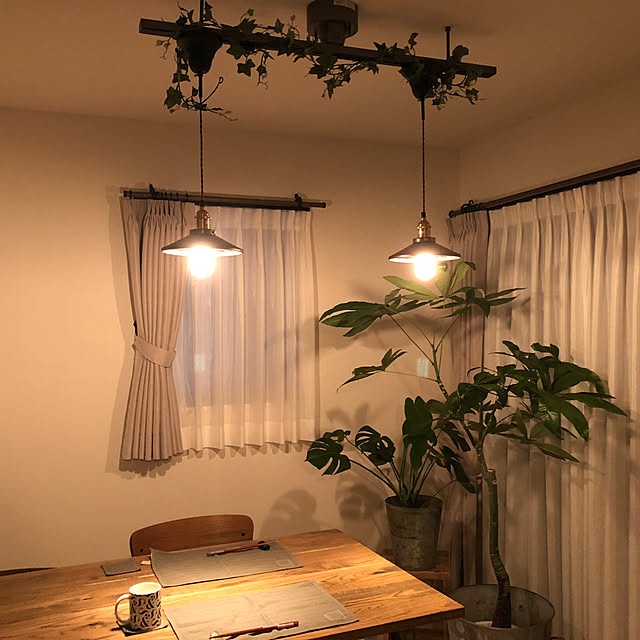 観葉植物/アンティーク/リビングのインテリア実例 - 2019-10-03 21:58:36