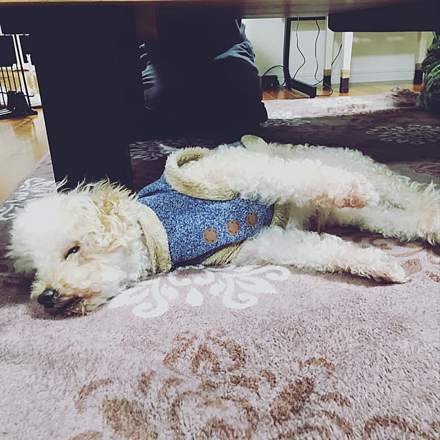 coco.さんの実例写真
