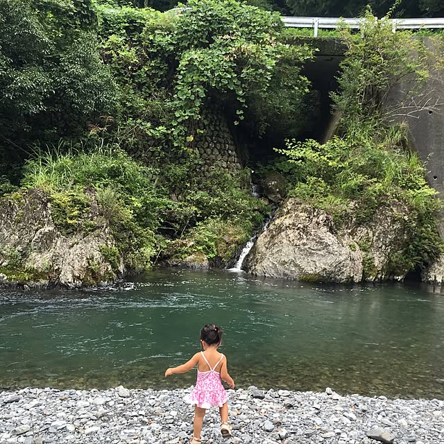 実例写真