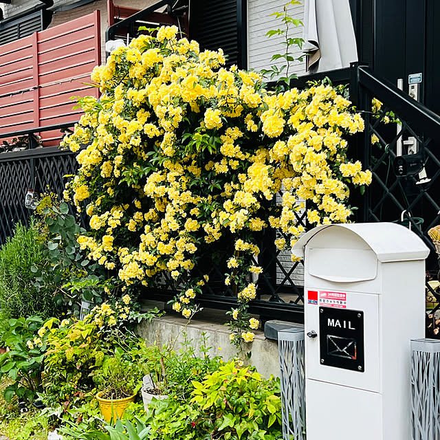 kurumeruさんの実例写真