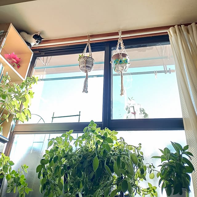 NOAHさんの実例写真