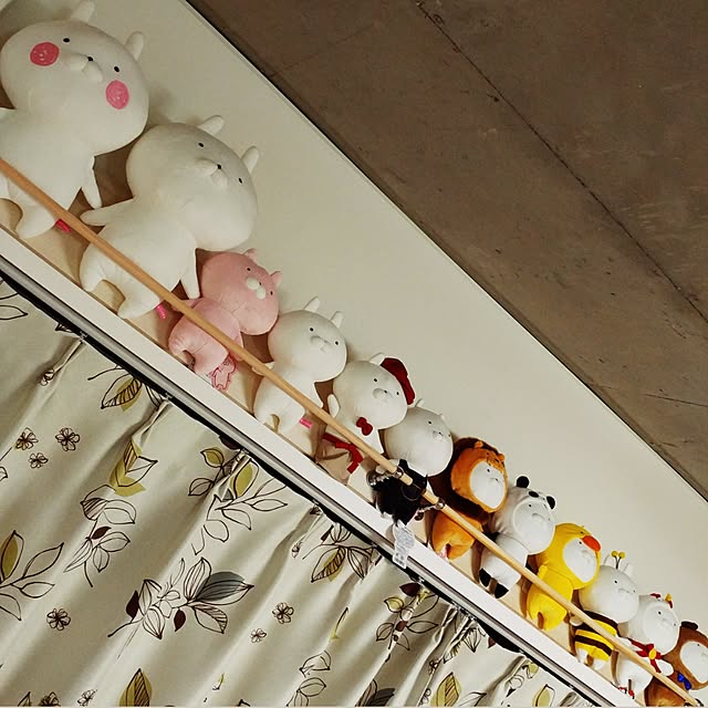 paohhnさんの実例写真