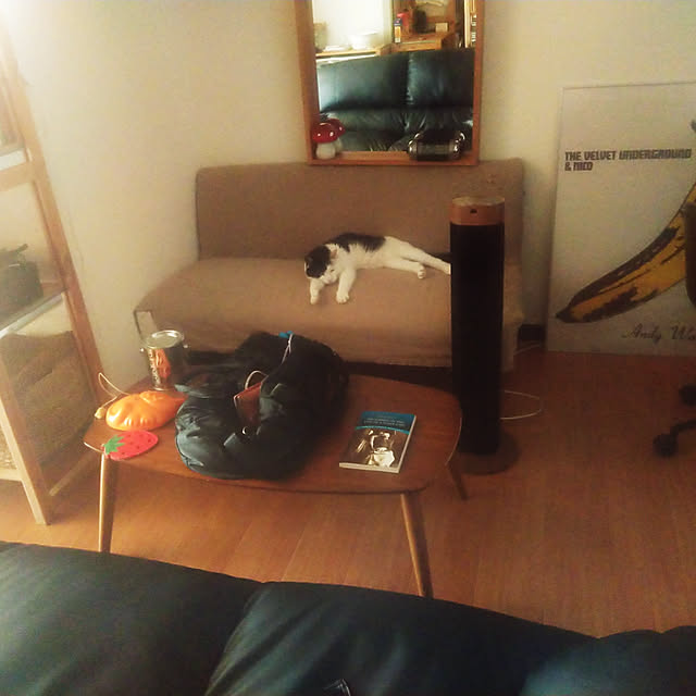 catloveさんの実例写真