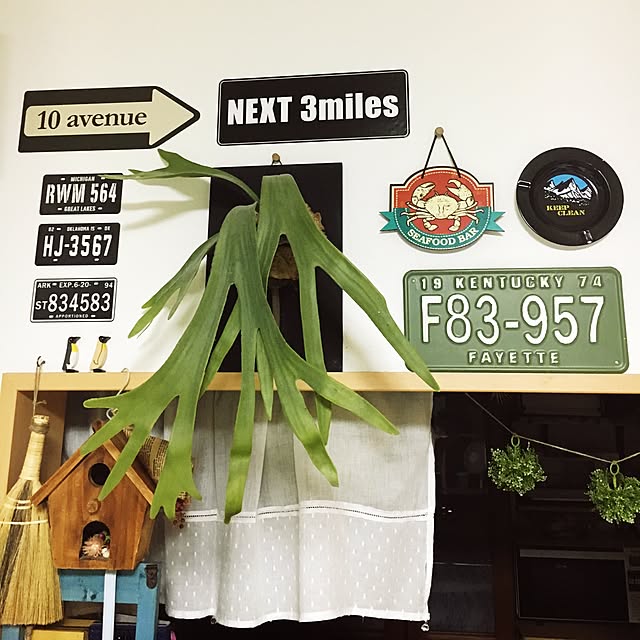 yuuさんの実例写真