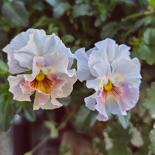 mocomocoさんの部屋