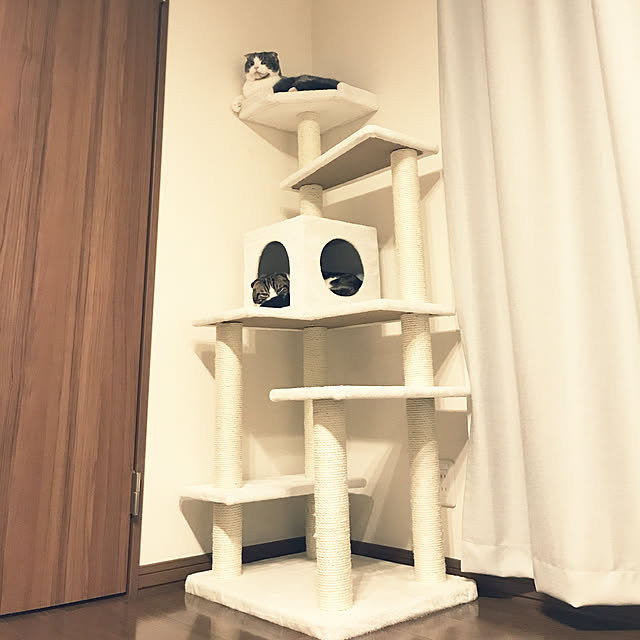 tansukeさんの実例写真