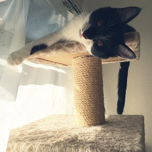 miyabiさんの実例写真
