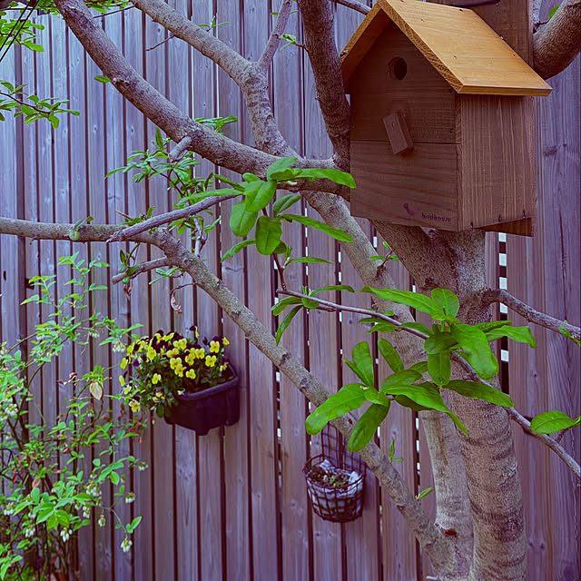 chacoさんの部屋