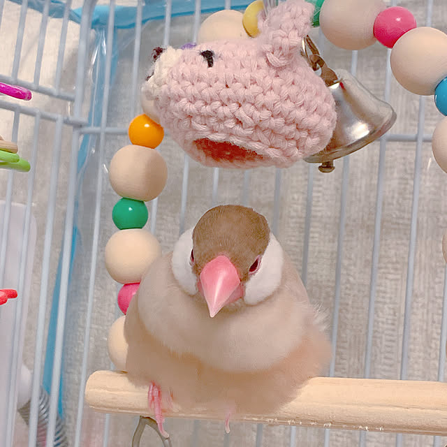 Tenさんの実例写真