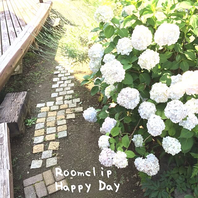 samanthakitchenさんの実例写真