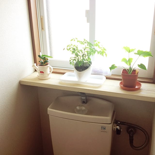 hanaさんの実例写真