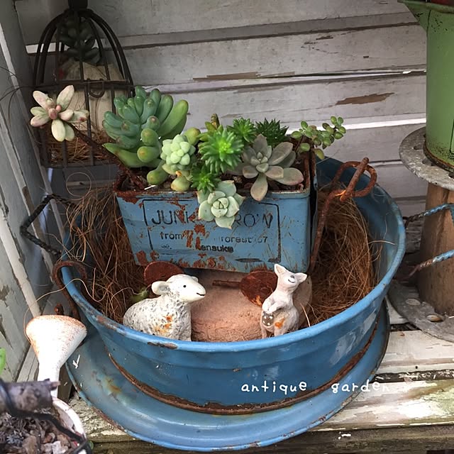 kurumichocoさんの実例写真